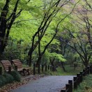 静思