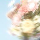 puei member profile picture