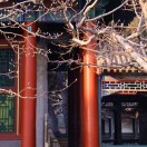 一枝梅的头像-熵减岛