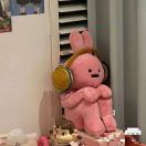 曼彻斯特求租