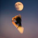 King Square Studios转租&房东直租