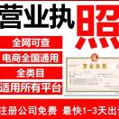 全国电商执照代办-王先生