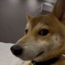 ThreeB member profile picture