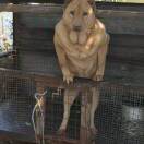 user_acljalzxznvbcayd member profile picture
