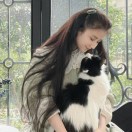 圣克拉拉(加利福尼亚州)求租
