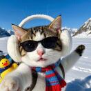 Renaissance Plaza Square Apartments转租&房东直租