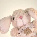 Renaissance Plaza Square Apartments转租