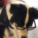 joeyli's Avatar