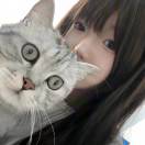懒猫的钢琴谱