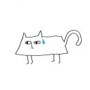 纽约(纽约州)求租