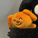 International Hall转租&房东直租