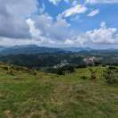 rui616的头像-cok论坛 - AGREE动漫游戏