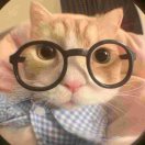 用户93308522的头像-cg男孩