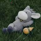 嗯。。-博士钣金 - www.bsbanjin.com