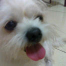 user icon
