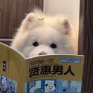 u客直谈实名认证刘浩