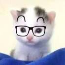 user_pg15dt0iq2nj0h17 member profile picture