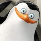 Micole的头像-秀琴曲谱网