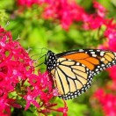 圆圆的头像-归元之道