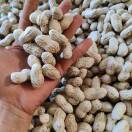     宜宾鲜花生代发小毕