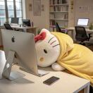 圣克拉拉(加利福尼亚州)求租