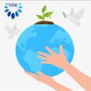 银润康（张英兰）