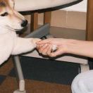 用户15985091的头像-秀琴曲谱网