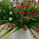 我的眼里只有你