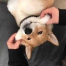 不龟路的头像-一起玩MC-华欣云资源站