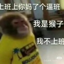 猴子不上班