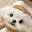 One Eastside转租&房东直租