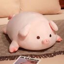 啊琦