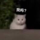 欲壑