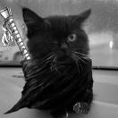 Geryly的头像-cg男孩