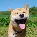 user icon