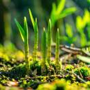 清心的头像-博士钣金 - www.bsbanjin.com