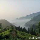 wx_绿之源茶业47