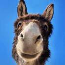 一口一个奶孩子