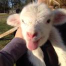 06的吖吖吖的头像 - 校园论坛