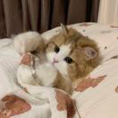 凌晨九点45分的头像 - 校园论坛