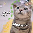 西雅图(华盛顿州)求租