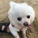 Linus的头像-宋播播带货工作室