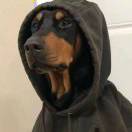 鬼都很善良
