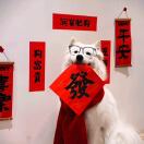 u客直谈实名认证郑先生