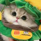 用户59776863的头像-博士钣金 - www.bsbanjin.com