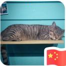 Neyno的头像-小果迷