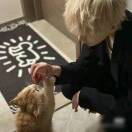 小陈