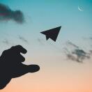 Z先生的头像 老秦