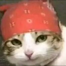 燚龘口香糖的头像-秀琴曲谱网