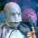 作者wairi的头像